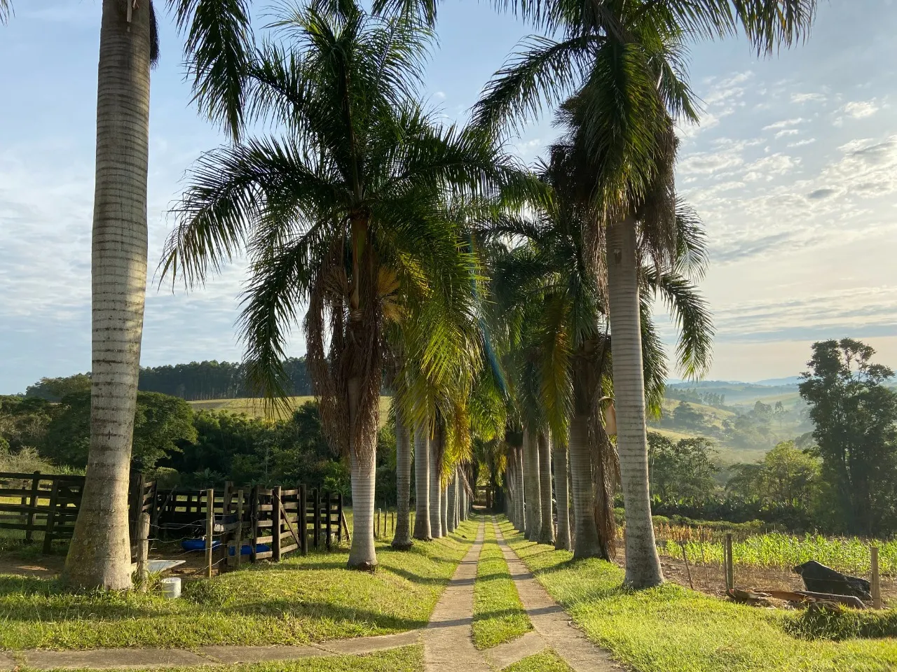 Small farm for sale of 8 acres in Paraibuna, SP, Brazil