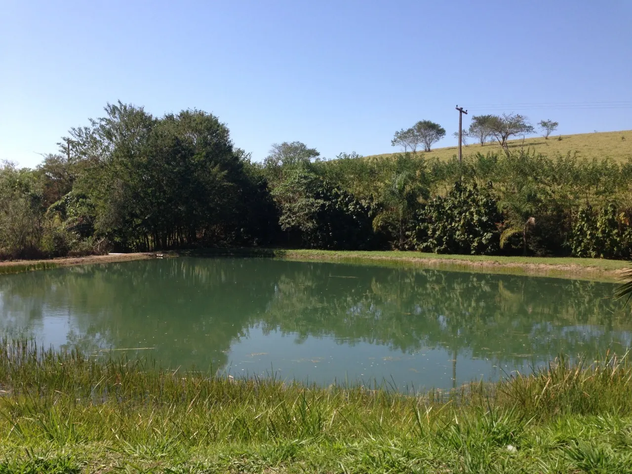 Small farm for sale of 8 acres in Paraibuna, SP, Brazil