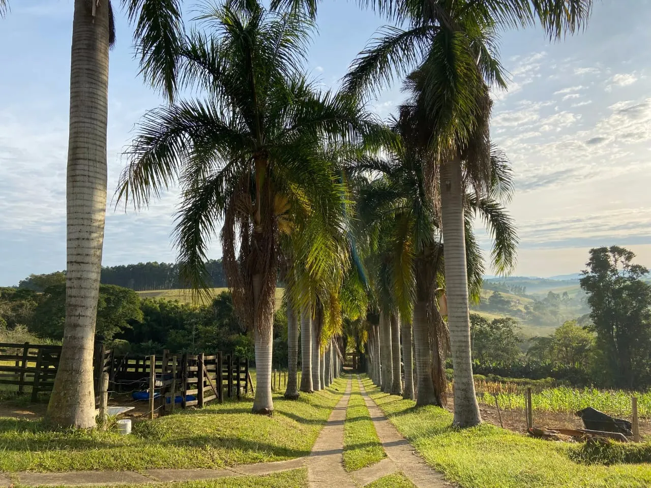 Small farm for sale of 8 acres in Paraibuna, SP, Brazil