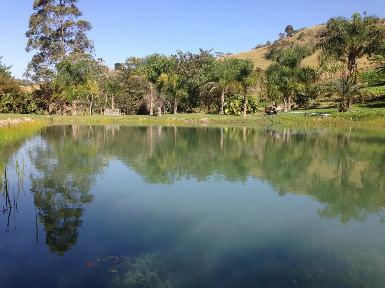 Small farm for sale of 8 acres in Paraibuna, SP, Brazil