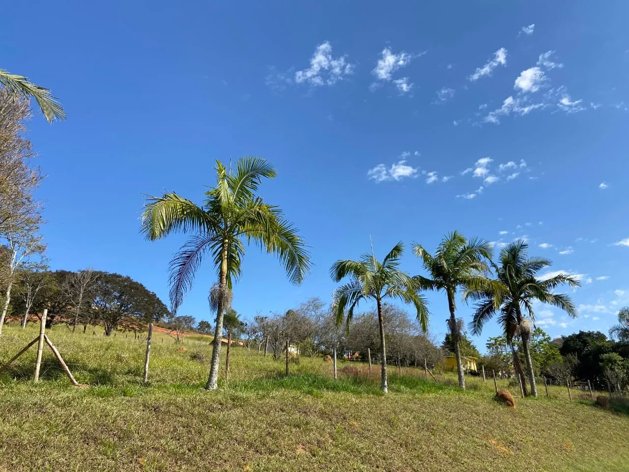 Small farm for sale of 8 acres in Paraibuna, SP, Brazil