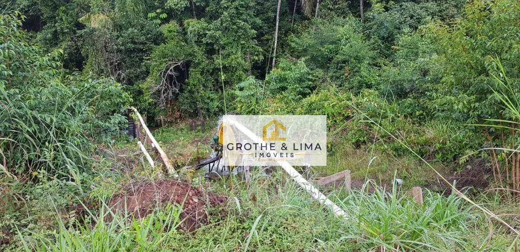 Fazenda à venda de 4.240 ha em Paraíso do Tocantins, TO, Brasil