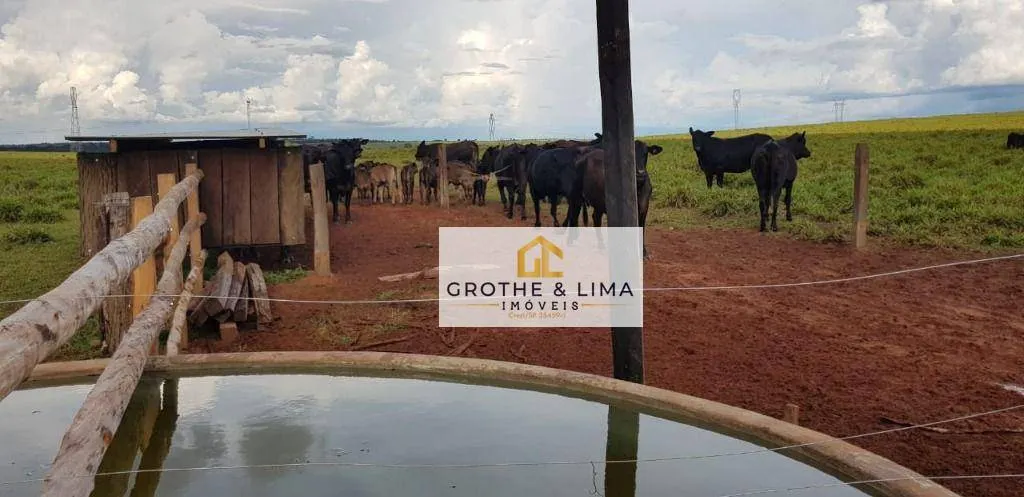 Fazenda à venda de 4.240 ha em Paraíso do Tocantins, TO, Brasil