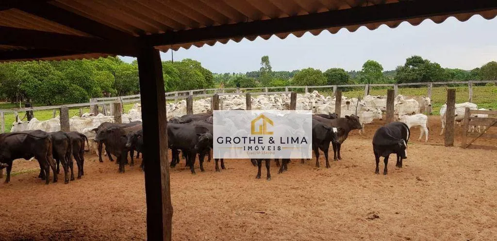 Fazenda à venda de 4.240 ha em Paraíso do Tocantins, TO, Brasil