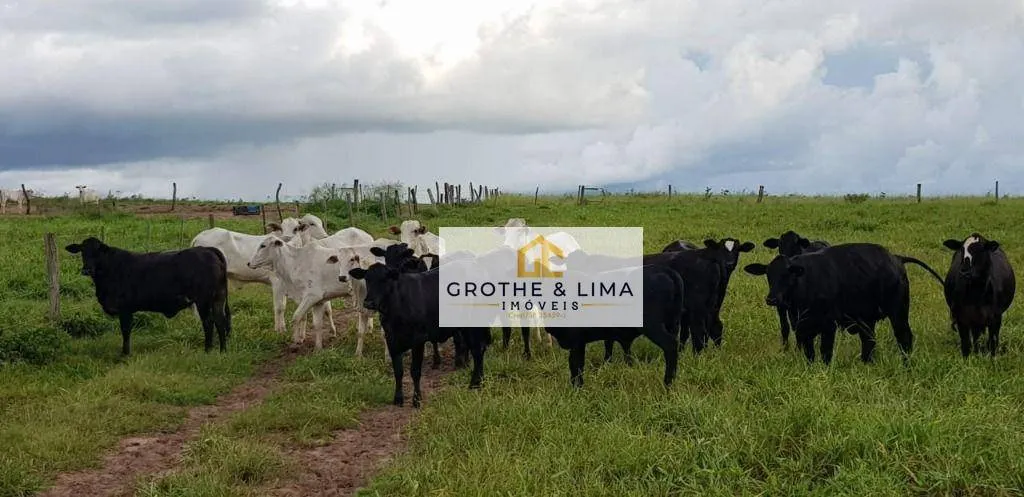 Fazenda à venda de 4.240 ha em Paraíso do Tocantins, TO, Brasil