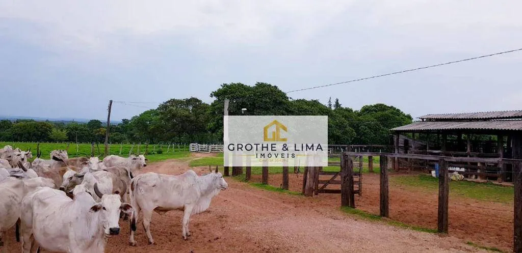 Fazenda à venda de 4.240 ha em Paraíso do Tocantins, TO, Brasil