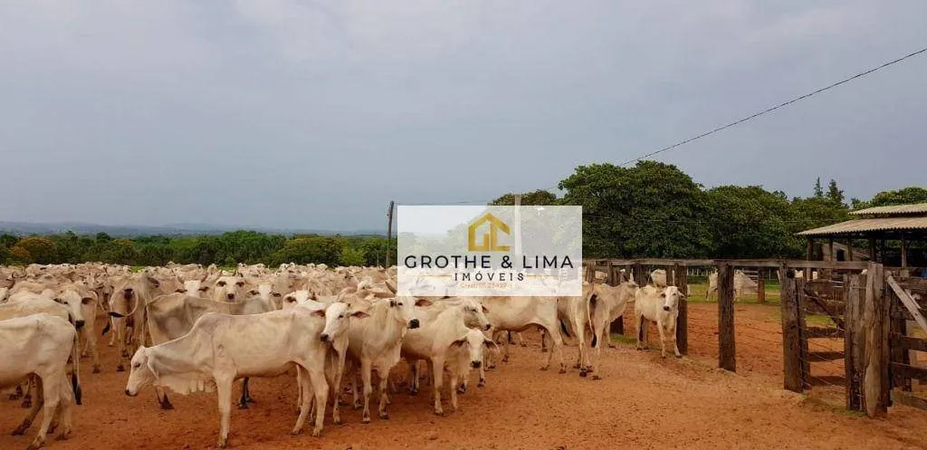 Fazenda à venda de 4.240 ha em Paraíso do Tocantins, TO, Brasil
