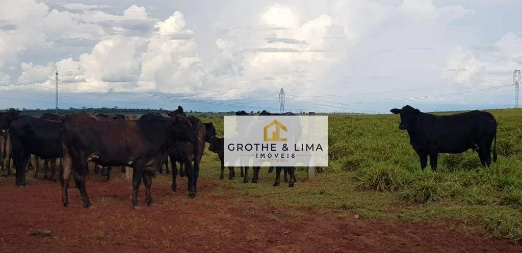 Fazenda à venda de 4.240 ha em Paraíso do Tocantins, TO, Brasil