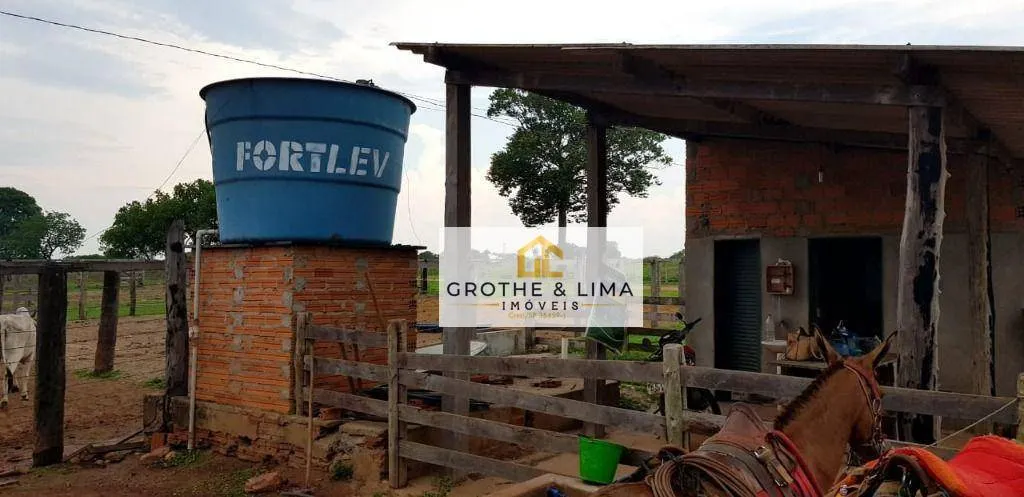 Fazenda à venda de 4.240 ha em Paraíso do Tocantins, TO, Brasil