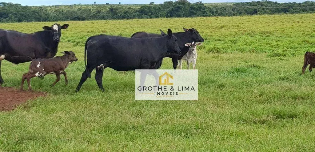 Fazenda à venda de 4.240 ha em Paraíso do Tocantins, TO, Brasil