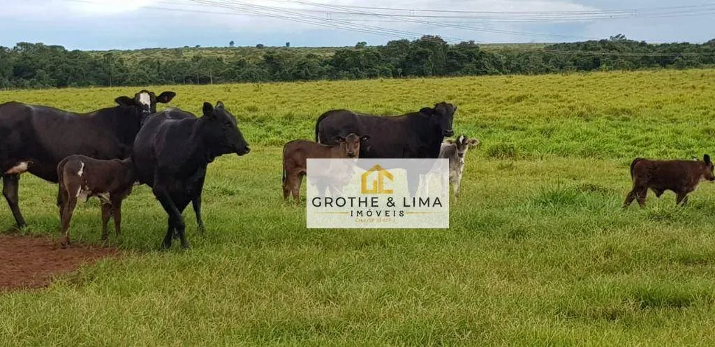 Fazenda à venda de 4.240 ha em Paraíso do Tocantins, TO, Brasil