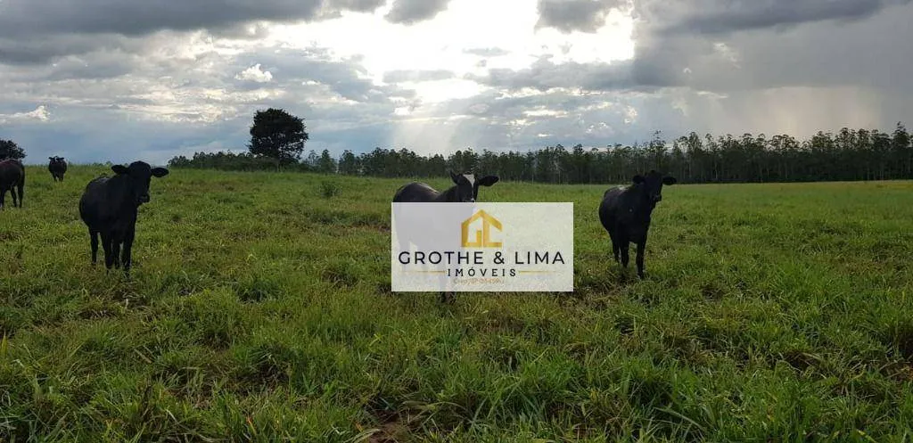 Fazenda à venda de 4.240 ha em Paraíso do Tocantins, TO, Brasil