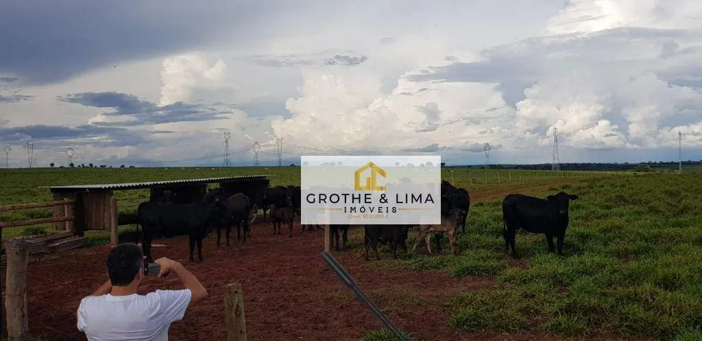 Fazenda à venda de 4.240 ha em Paraíso do Tocantins, TO, Brasil