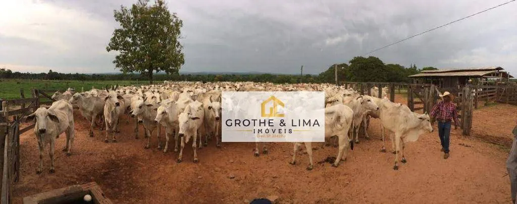 Fazenda à venda de 4.240 ha em Paraíso do Tocantins, TO, Brasil