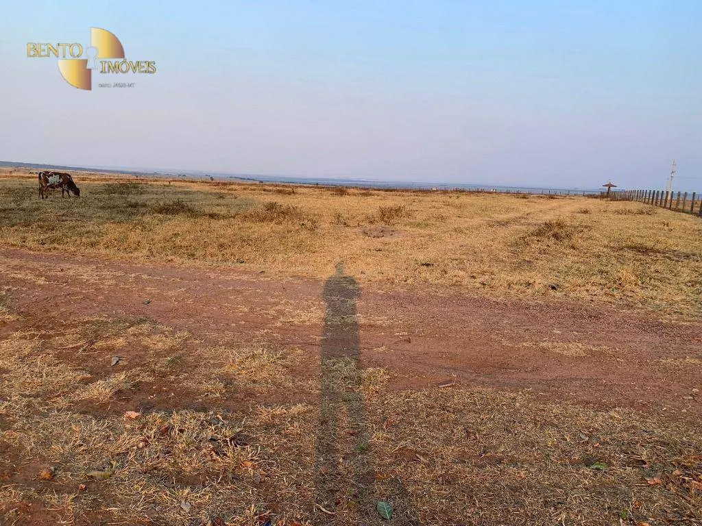 Farm for sale of 14,826 acres in Primavera do Leste, MT, Brazil