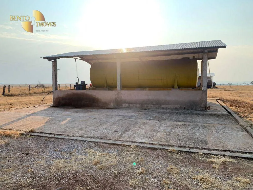 Farm for sale of 14,826 acres in Primavera do Leste, MT, Brazil