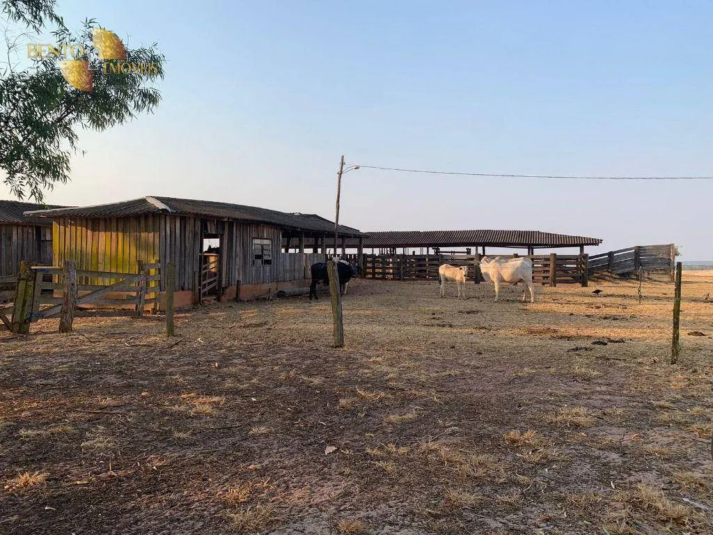 Farm for sale of 14,826 acres in Primavera do Leste, MT, Brazil