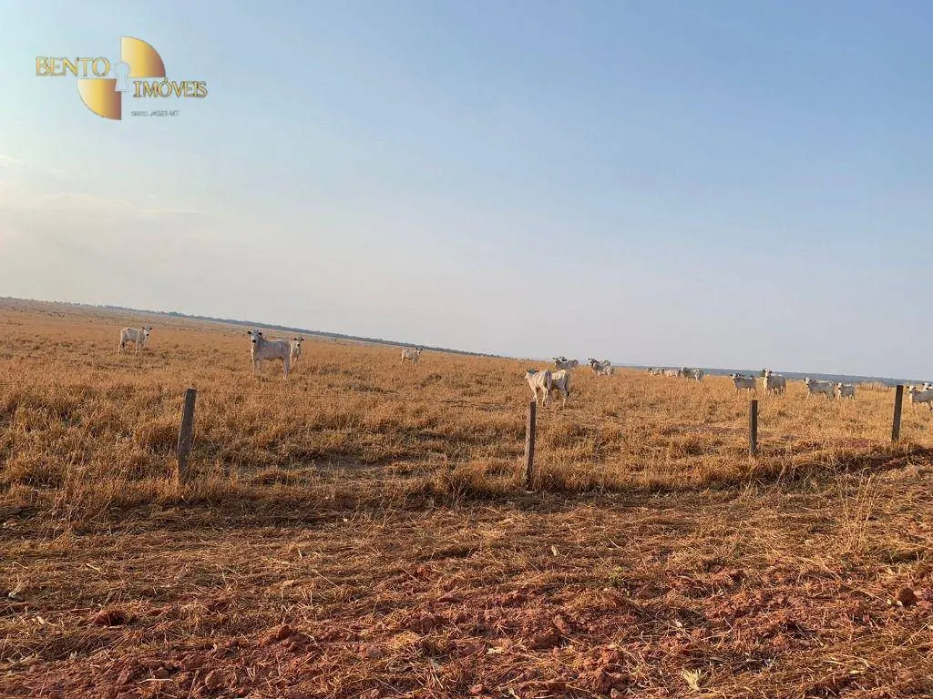 Farm for sale of 14,826 acres in Primavera do Leste, MT, Brazil