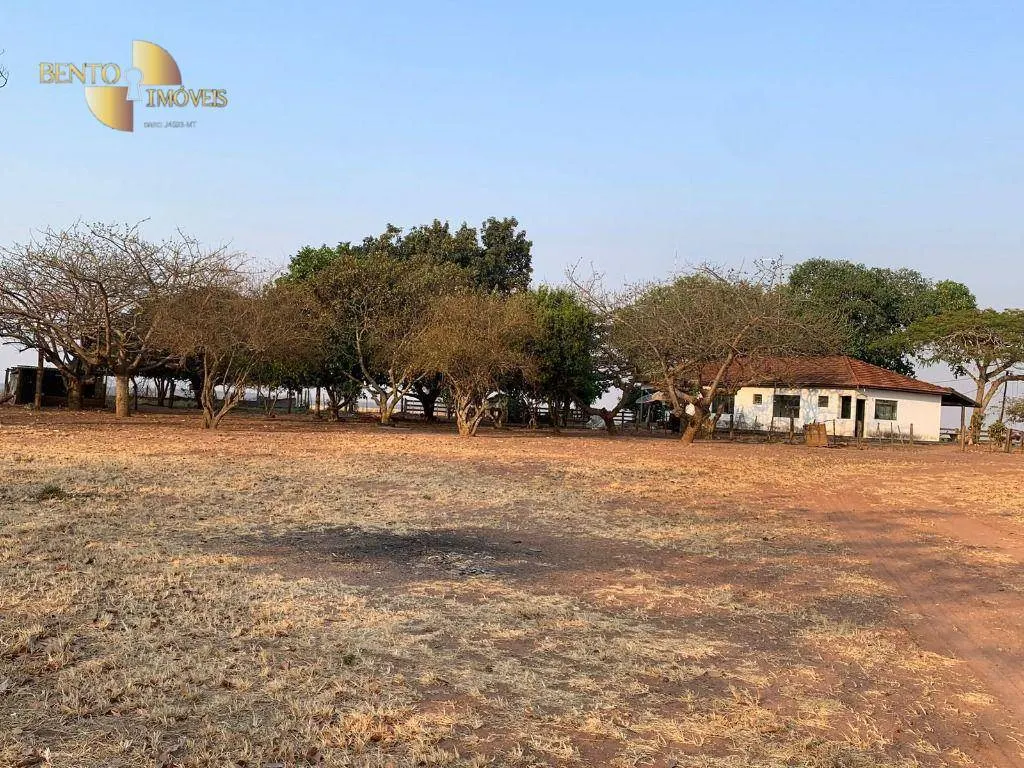 Farm for sale of 14,826 acres in Primavera do Leste, MT, Brazil