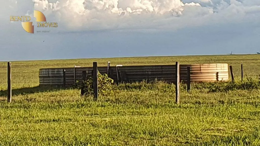 Farm for sale of 14,826 acres in Primavera do Leste, MT, Brazil