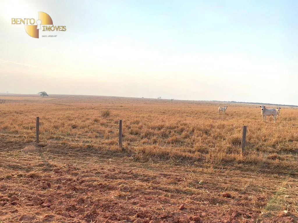 Farm for sale of 14,826 acres in Primavera do Leste, MT, Brazil