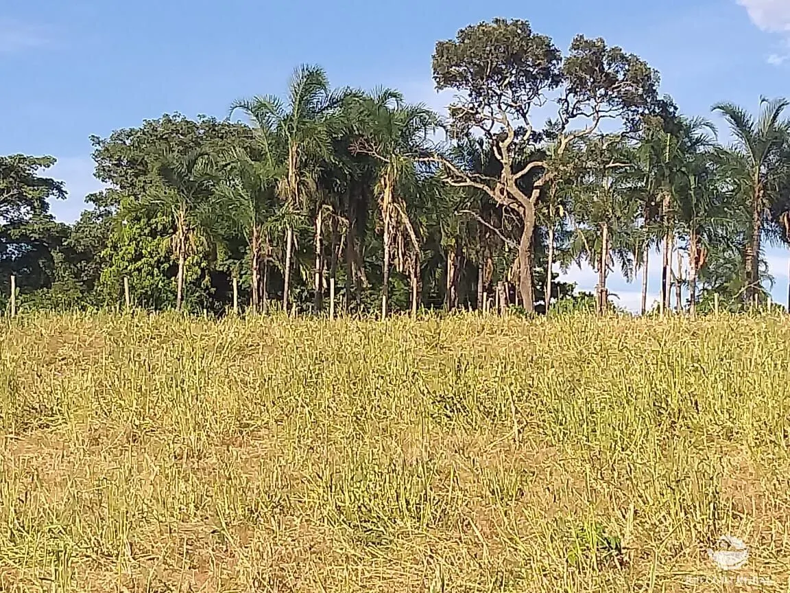 Sítio à venda de 17 ha em Frutal, MG, Brasil