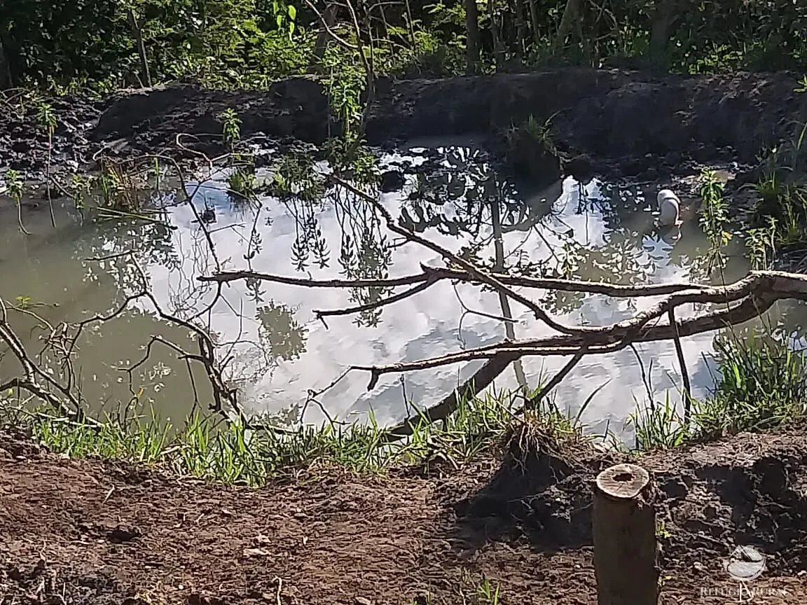 Sítio à venda de 17 ha em Frutal, MG, Brasil