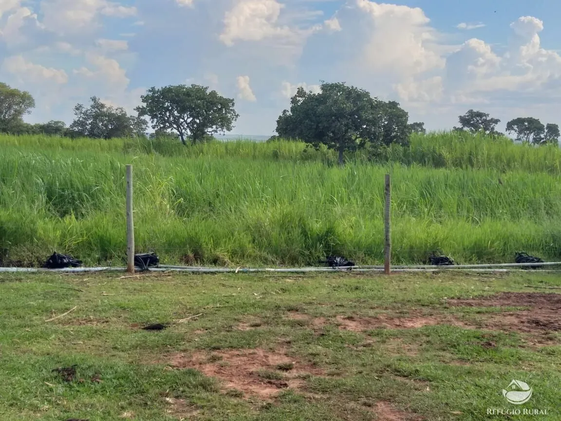 Sítio à venda de 17 ha em Frutal, MG, Brasil