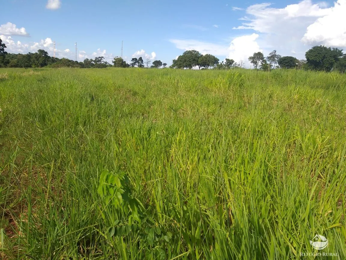 Sítio à venda de 17 ha em Frutal, MG, Brasil