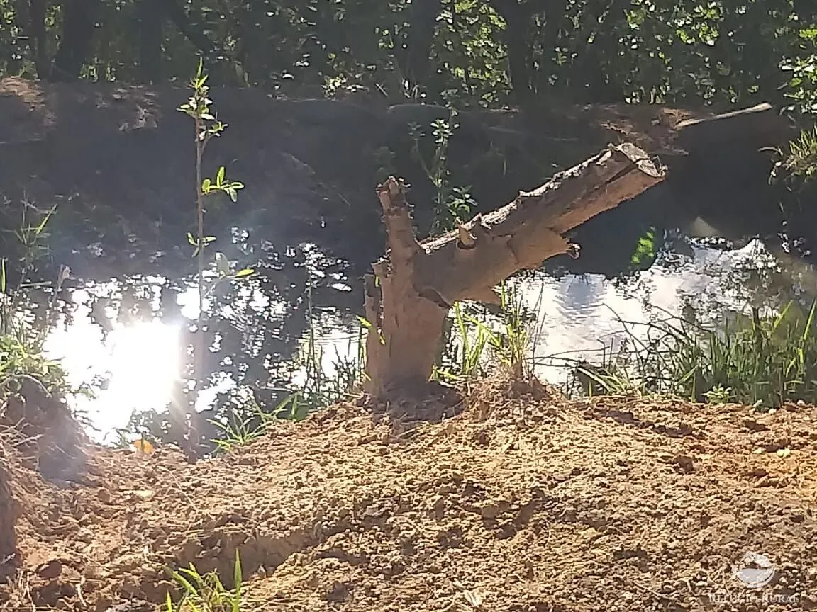 Sítio à venda de 17 ha em Frutal, MG, Brasil