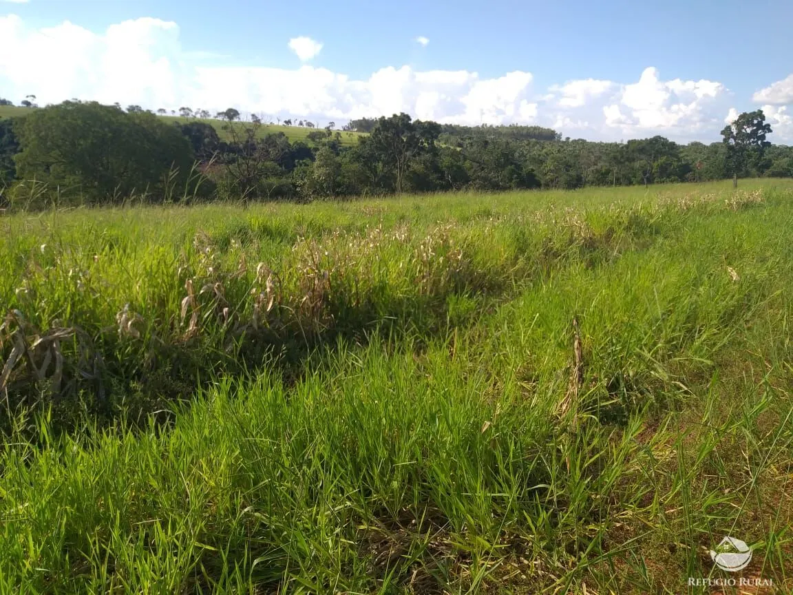 Sítio à venda de 17 ha em Frutal, MG, Brasil