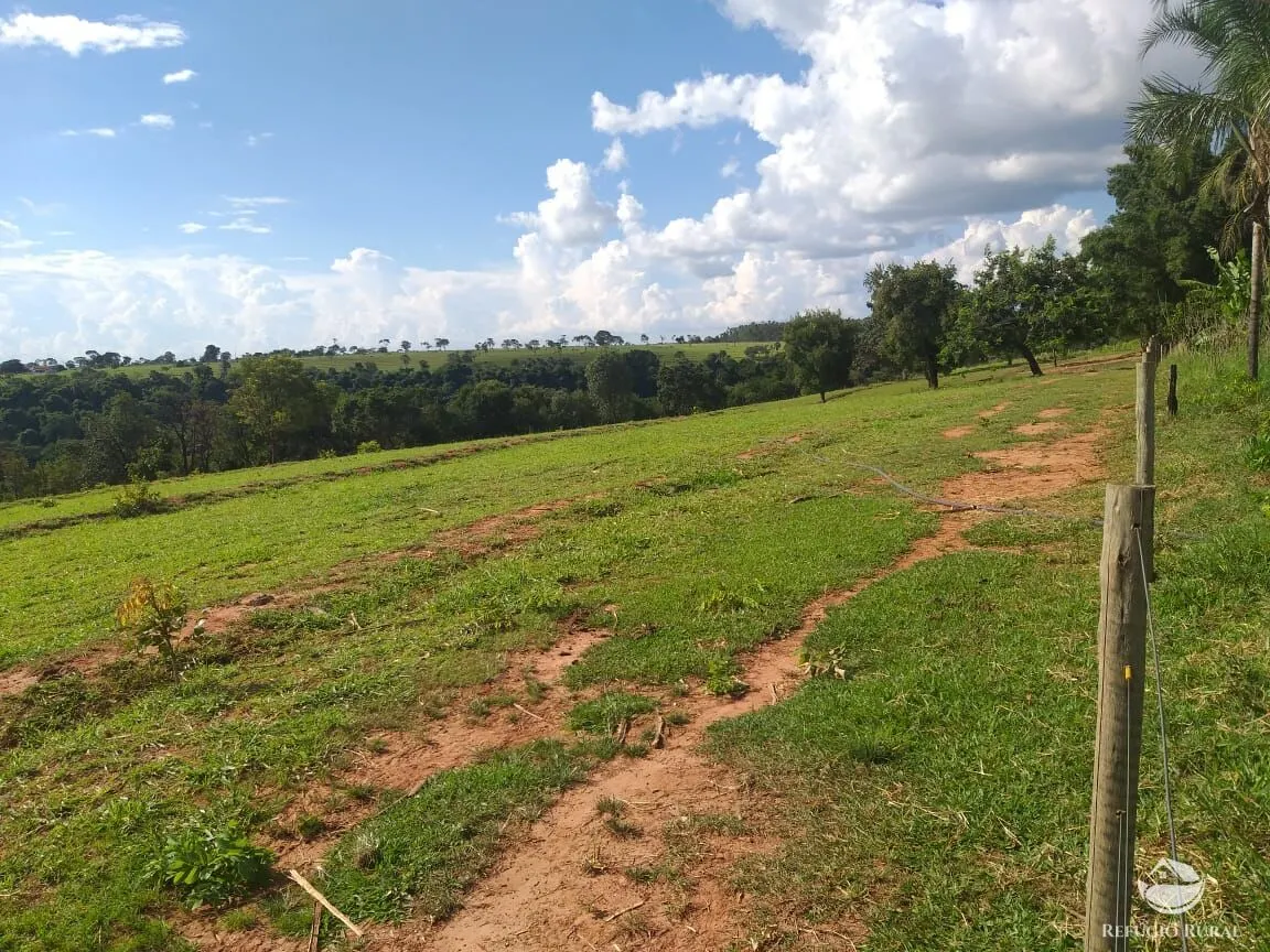 Sítio à venda de 17 ha em Frutal, MG, Brasil