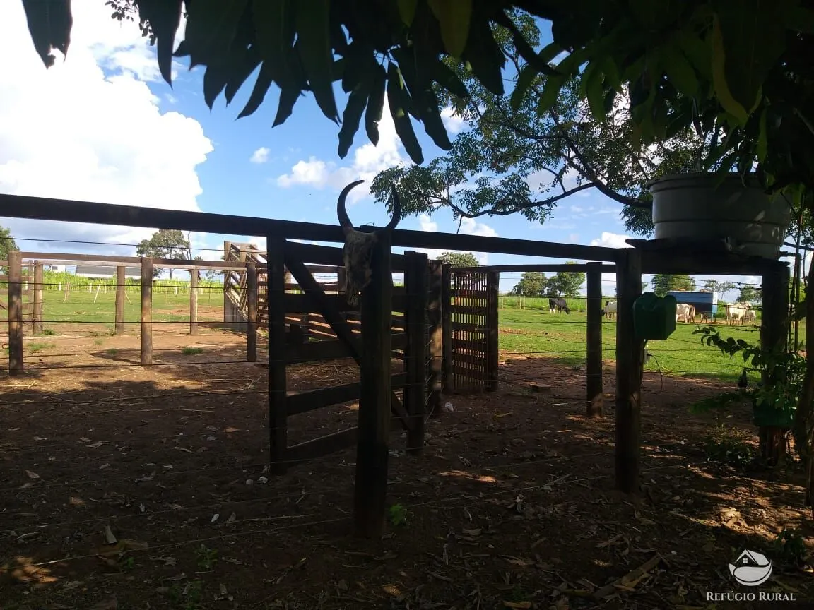 Sítio à venda de 17 ha em Frutal, MG, Brasil