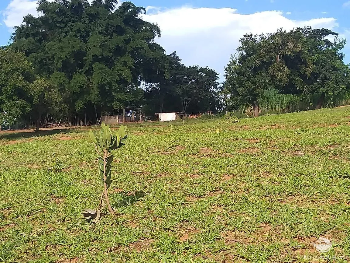 Sítio à venda de 17 ha em Frutal, MG, Brasil