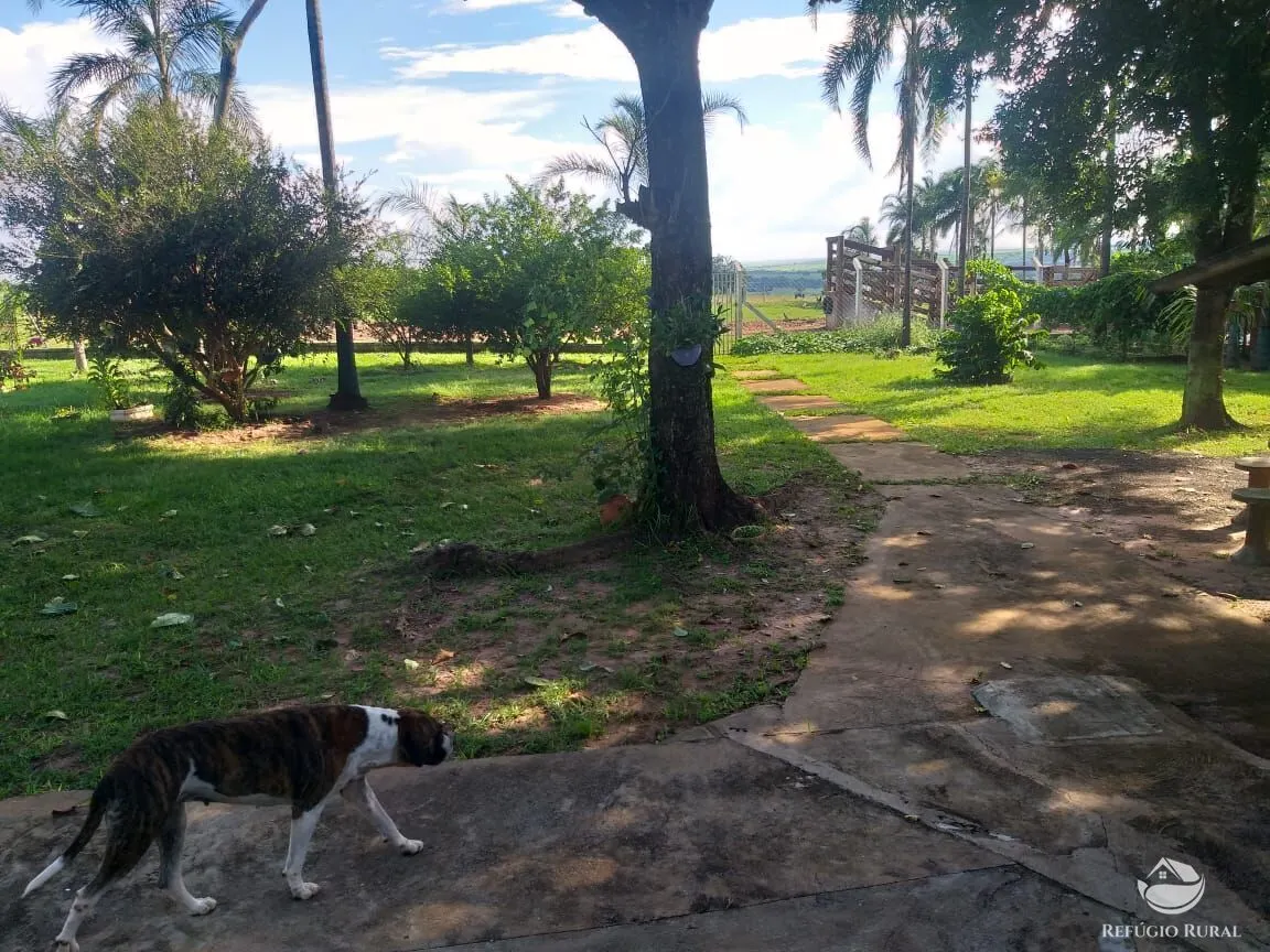 Sítio à venda de 17 ha em Frutal, MG, Brasil