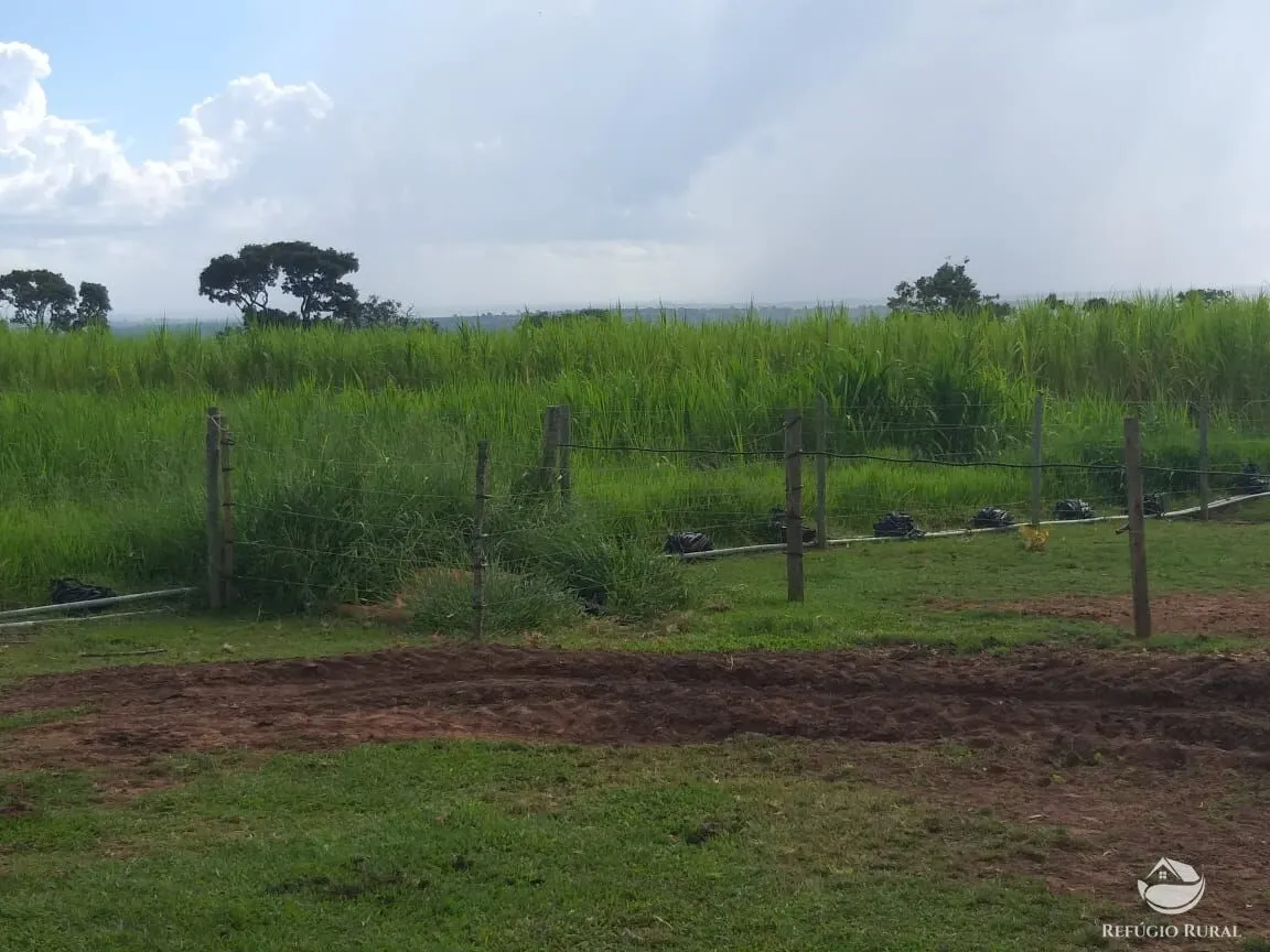 Sítio à venda de 17 ha em Frutal, MG, Brasil