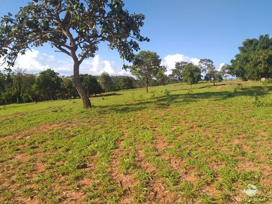 Sítio à venda de 17 ha em Frutal, MG, Brasil