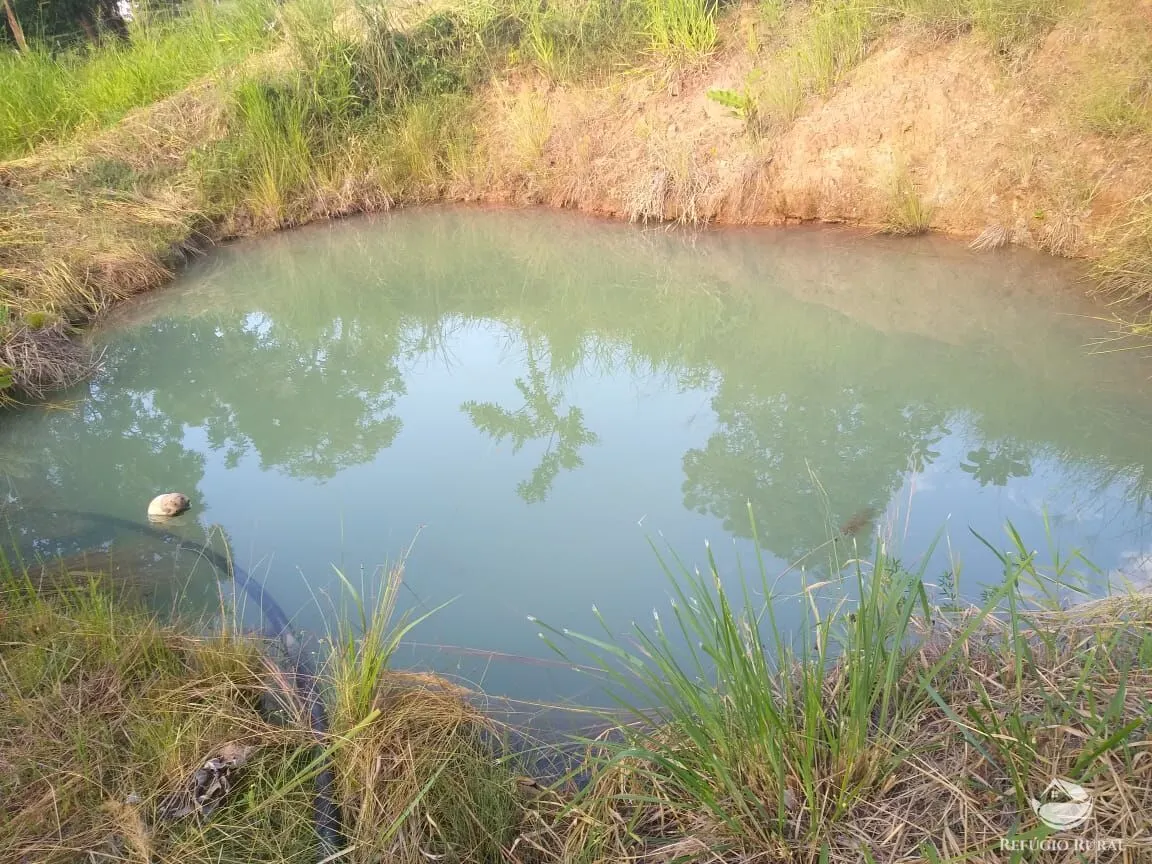 Sítio à venda de 17 ha em Frutal, MG, Brasil