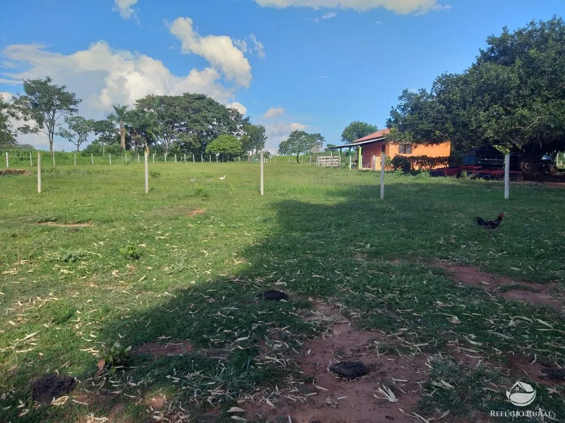 Sítio à venda de 17 ha em Frutal, MG, Brasil
