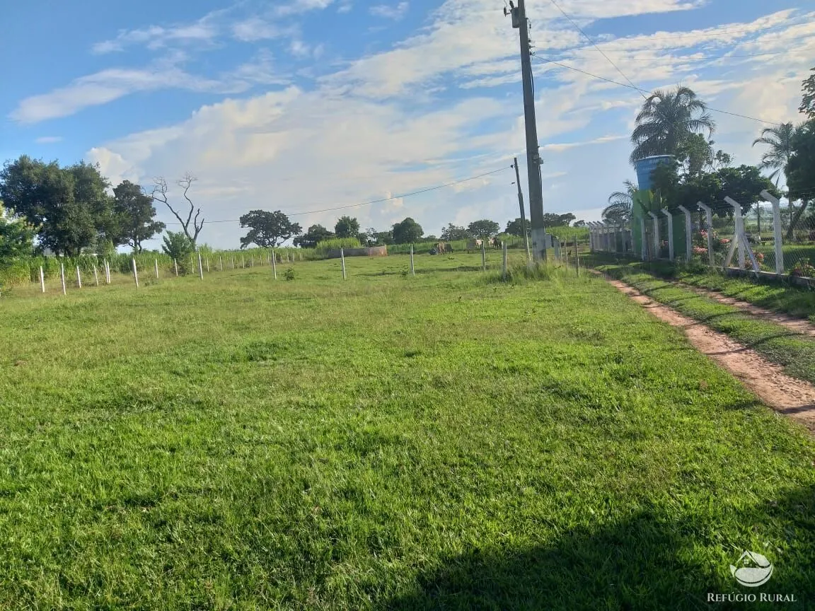 Sítio à venda de 17 ha em Frutal, MG, Brasil