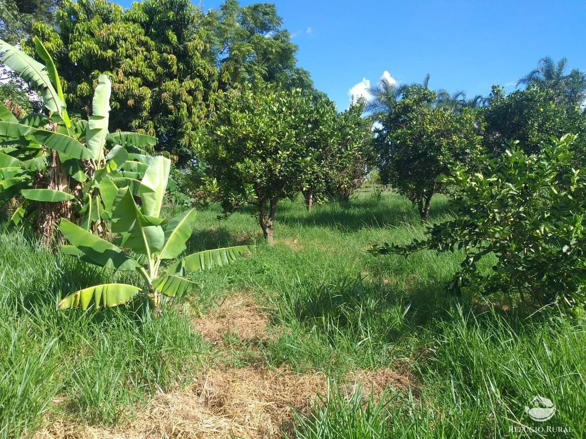 Sítio à venda de 17 ha em Frutal, MG, Brasil