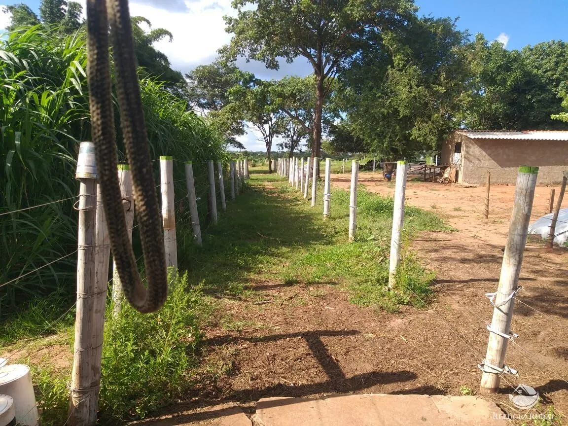 Sítio à venda de 17 ha em Frutal, MG, Brasil