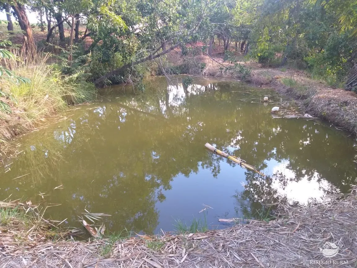 Sítio à venda de 17 ha em Frutal, MG, Brasil