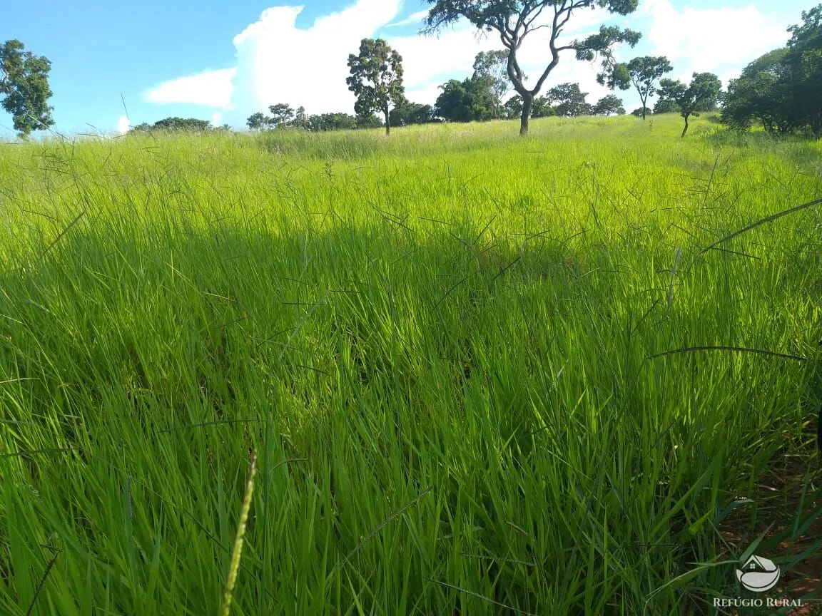Sítio à venda de 17 ha em Frutal, MG, Brasil