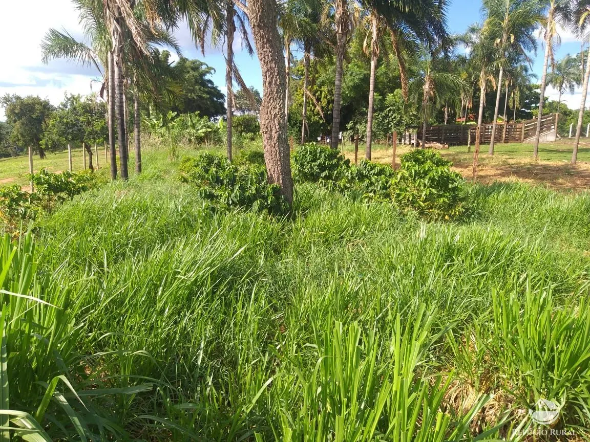 Sítio à venda de 17 ha em Frutal, MG, Brasil