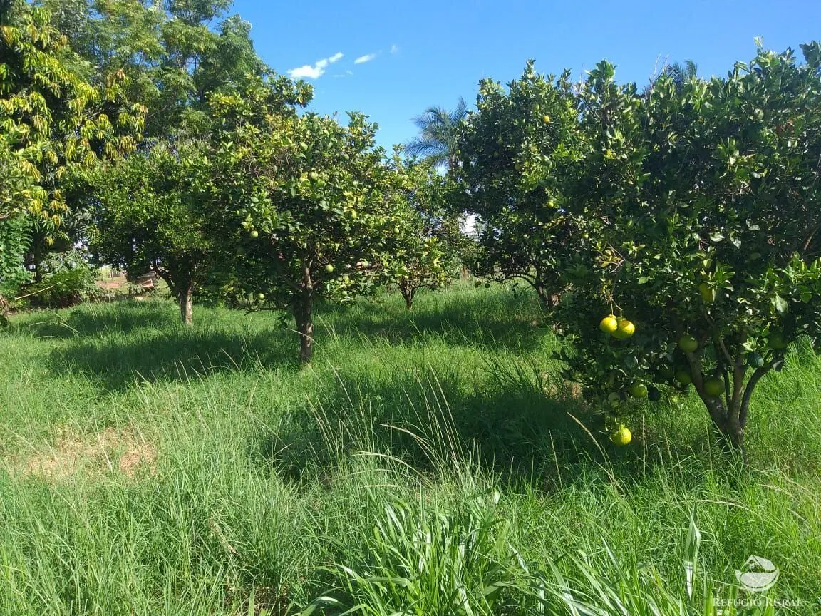 Sítio à venda de 17 ha em Frutal, MG, Brasil