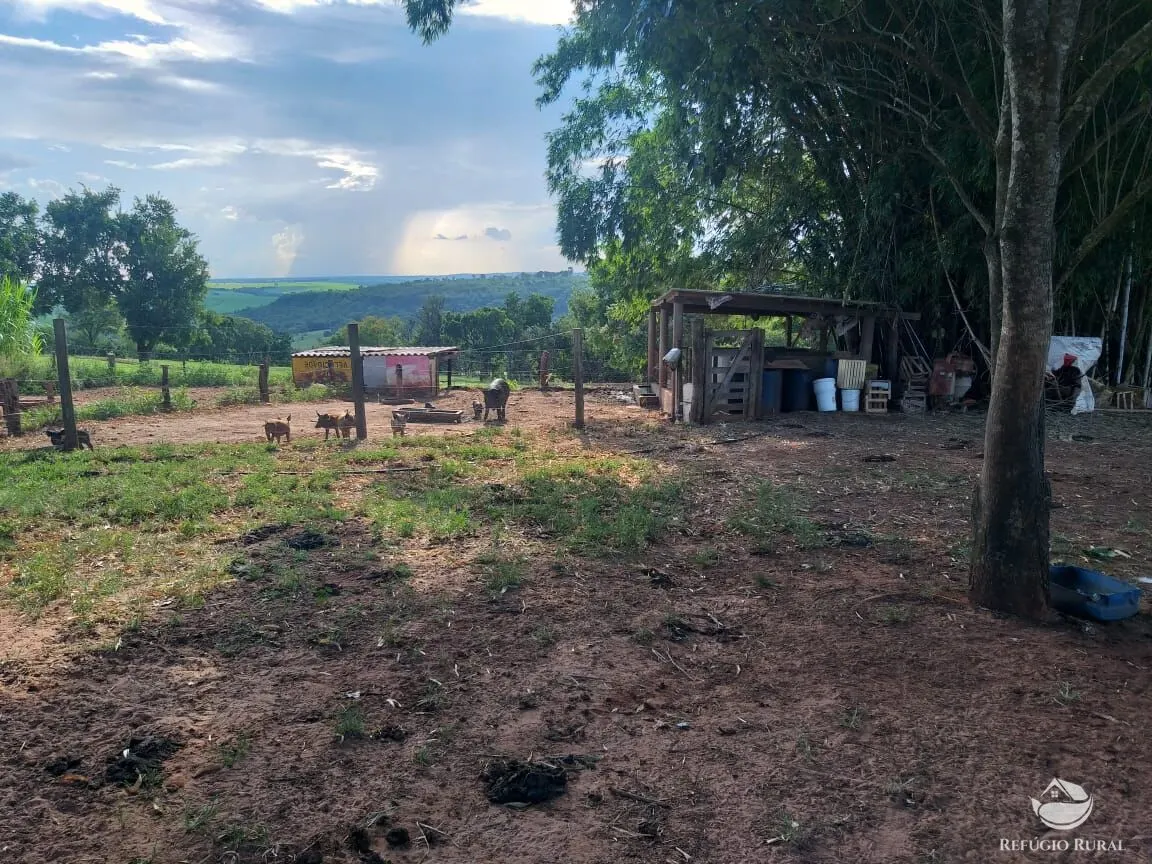 Sítio à venda de 17 ha em Frutal, MG, Brasil