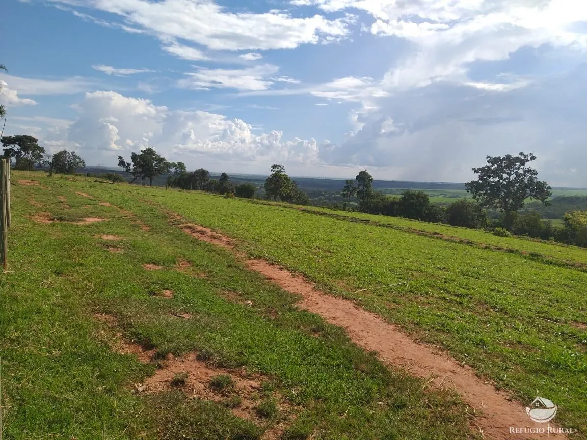 Sítio à venda de 17 ha em Frutal, MG, Brasil