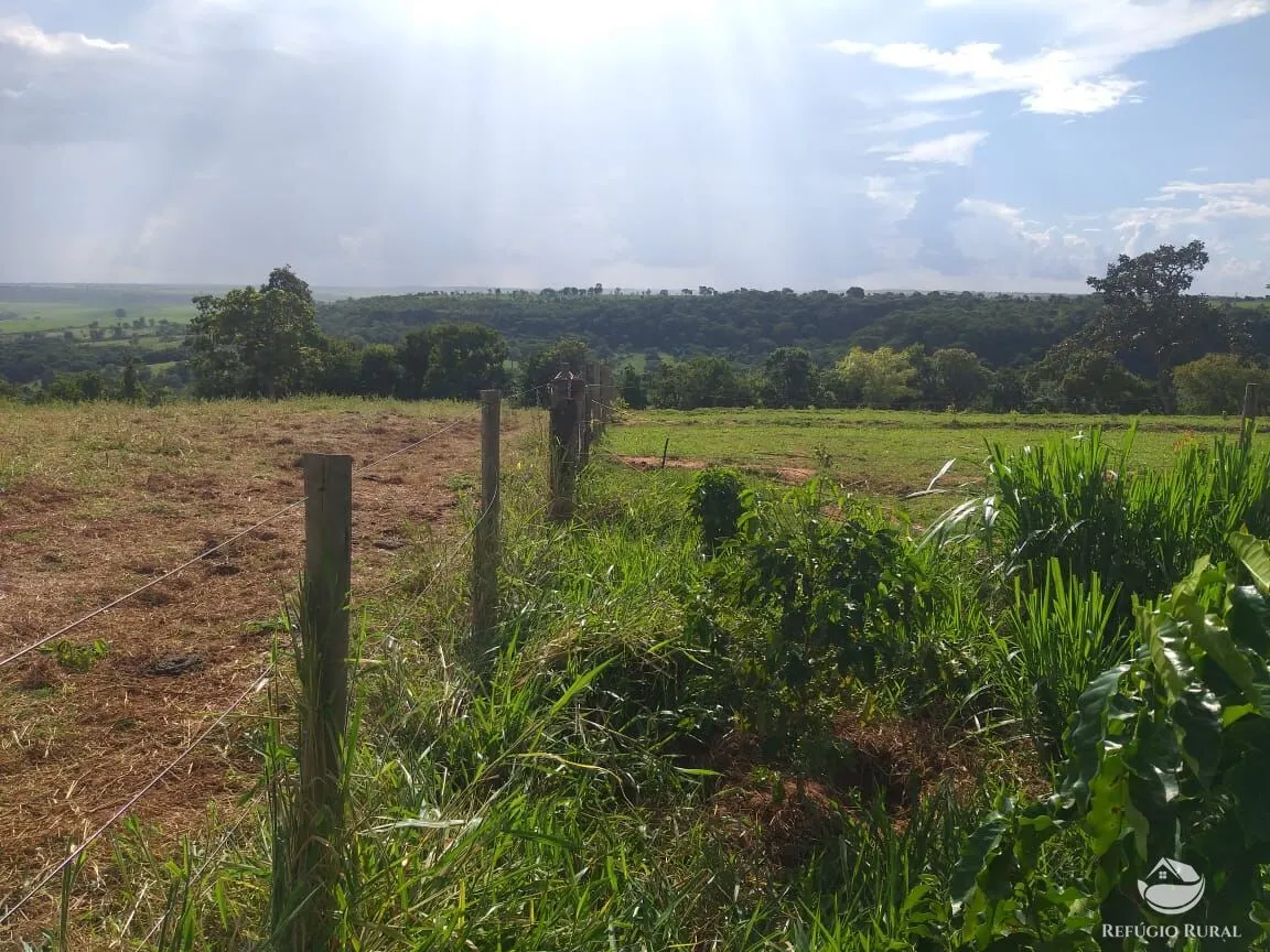 Sítio à venda de 17 ha em Frutal, MG, Brasil