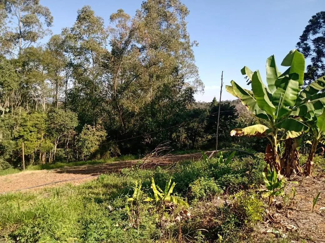 Sítio à venda de 13 ha em Piedade, SP, Brasil